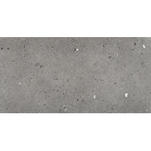 Provenza Ego EGP7 Grigio Scuro Naturale Ret keramisch graniet 30x60 cm, Italië, steen  - foto 1 - foto 1