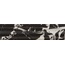 Quintessenza Tempo С000625947 TEM108M_OndeDelTempoNero carreau mural 10x40 cm, Italie, autres types de marbre - photo 1