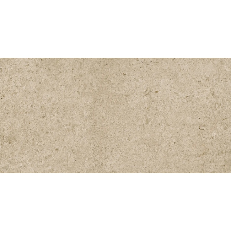 Ragno Eterna С000508957 R8KE_EterGreigeStr60X120 porcelain tile 60x120 cm, Italy, other types of stone - photo 1 Ragno Eterna С000508957 R8KE_EterGreigeStr60X120 porcelain tile 60x120 cm, Italy, other types of stone - photo 1