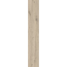 Ragno Grove С000581858 RA4H_GroveForestaRt14,5X90 keramisch graniet 14,5x90 cm, Italië, hout - foto 1 - foto 1