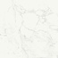 Ragno Imperiale С000579977 R72W_ImperialeBiancoGlossyRt58X58 porcelain tile 58x58 cm, Italy, other types of marble - photo 1 Ragno Imperiale С000579977 R72W_ImperialeBiancoGlossyRt58X58 porcelain tile 58x58 cm, Italy, other types of marble - photo 1