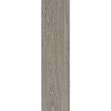 Ragno Key С000581950 RA3Q_KeyGreyNatural15,5X60,5 porcelanato 15,5x60,5 cm, Italia, árbol - foto 1 - foto 1