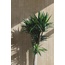 Ragno Realstone_Argent 30x60, porcelanato não esmaltado, Itália, outros tipos de pedra - foto de interior 12