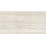 Ragno Realstone_Travertino XT20 С000604995 RCJZ_TravertinoXt20VeinBiancoRt60X120 grès cérame 60x120 cm, Italie, travertin - photo 1