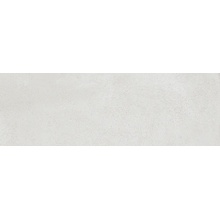 Ragno Replace С000526996 R9CX_ReplaceGrigio25X76 wandtegel 25x76 cm, Italië, beton - foto 1 - foto 1