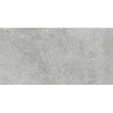 Ragno Richmond С000581892 RAFW_RichmondSilverRt60X120 porcelanato 60x120 cm, Italia, otros tipos de piedra - foto 1 - foto 1