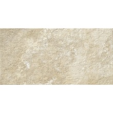 Ragno Stoneway_Porfido С000433635 R46Z_Stoneway_porfidoBeige30X60 Feinsteinzeug 30x60 cm, Italien, andere steinarten - Foto 1 - Foto 1