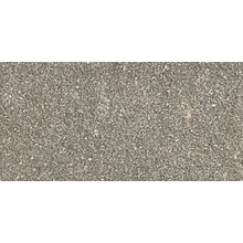 Ragno Stoneway_Porfido С000433653 R47W_Stoneway_porfidoRust15X30 Feinsteinzeug 15x30 cm, Italien, andere steinarten - Foto 1 - Foto 1