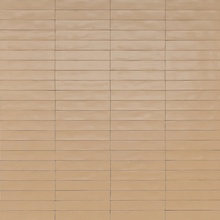 Ragno Wish С000593485 RCGC_WishPetalSemimatt5,3X30 keramisch graniet 5,3x30 cm, Italië, monokleur - foto 1 - foto 1