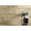 Ragno Woodmania 20x120 см, grès cérame non émaillé, Italie, arbre - photo d'intérieur 6 Ragno Woodmania 20x120 см, grès cérame non émaillé, Italie, arbre - photo d'intérieur 6