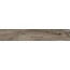 Ragno Woodmania С000473856 R56E_WOODMANIA ASH 20X120 gres porcelánový 20x120 cm, Itálie, dřevo - fotografie 1