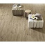 Ragno Woodtale 15x120, porcelanato esmaltado, Italia, árbol - foto de interior 5