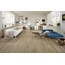 Ragno Woodtale 15x120, porcelanato esmaltado, Italia, árbol - foto de interior 1
