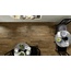 Ragno Woodtale 15x120, porcelanato esmaltado, Italia, árbol - foto de interior 7