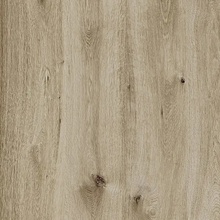 Ragno Woodtale XT20 С000476405 R4XH_WoodtaleXt20NocciolaRt60X60 gres porcelanato 60x60 cm, Itália, árvore - foto 1 - foto 1