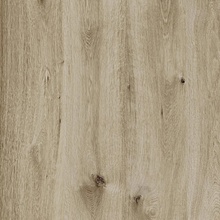 Ragno Woodtale XT20 С000476405 R4XH_WoodtaleXt20NocciolaRt60X60 gres porcellanato 60x60 cm, Italia, effetto legno - foto 1 - foto 1