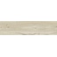 Ragno Woodtale С000453906 R4TG_WoodtaleBetullaRettificato30X120 gres porcelánový 30x120 cm, Itálie, dřevo - fotografie 1