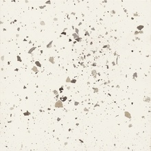 Realonda Carnival С000542477 CARNIVAL WHITE 32,9x32,9 keramisk granitt 32,9x32,9 cm, Spania, terrazzo - foto 1 - foto 1
