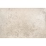 Realonda Reef С000634121 REEF BEIGE porcelænsflise 44,2x66,4 cm, Spanien, andre stenarter - foto 1