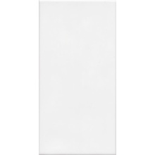 Revigres Branco С000272206 312121A481_BrancoMateRectificado_30*60 carreau mural 30x60 cm, Portugal, monocolore - photo 1 - photo 1