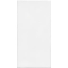 Revigres Branco С000272878 3121C9A021_BrancoMateNatural_20*40 carreau mural 20x40 cm, Portugal, monocolore - photo 1 - photo 1