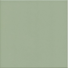 Revigres Cromatica С000485191 312B130321_CromOlivaMattRet59.2*59.2 keramisch graniet 59,2x59,2 cm, Portugal, monokleur - foto 1 - foto 1