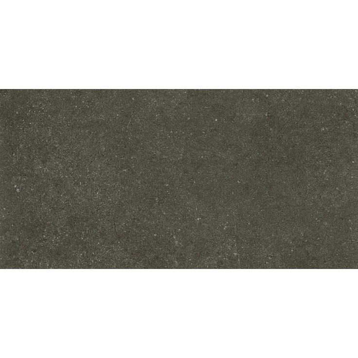 Revigres Omnistone С000492945 312B2191U1_OmnistoneJetMattRet29.5*59.2 porcelain tile 29,5x59,2 cm, Portugal, other types of stone - photo 1 Revigres Omnistone С000492945 312B2191U1_OmnistoneJetMattRet29.5*59.2 porcelain tile 29,5x59,2 cm, Portugal, other types of stone - photo 1