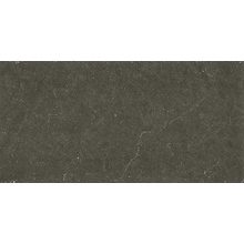 Revigres Omnistone С000492951 312BD391U1_OmnistoneJetMattRet59.2*118.6 grès cérame 59,2x118,6 cm, Portugal, autres types de pierre - photo 1 - photo 1