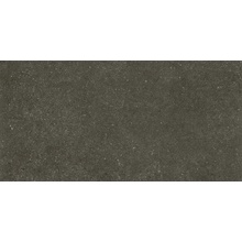 Revigres Omnistone С000492945 312B2191U1_OmnistoneJetMattRet29.5*59.2 grès cérame 29,5x59,2 cm, Portugal, autres types de pierre - photo 1 - photo 1