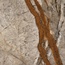 Revigres Silver Roots С000605283 311213Q641_SilverRootsPol59,2*59,2 gres porcellanato 59,2x59,2 cm, Portogallo, altri tipi di marmo - foto 1
