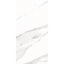Revigres Statuario White С000442684 311221U901_StatuarioWhitePol29.5*59.2 gres porcelánový 29,5x59,2 cm, Portugalsko, statuario - fotografie 1 - foto 1