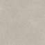 Ricchetti Ease/22 С000502724 0162955_GreigeNtRt80X80 Feinsteinzeug 80x80 cm, Italien, andere steinarten - Foto 1 Ricchetti Ease/22 С000502724 0162955_GreigeNtRt80X80 Feinsteinzeug 80x80 cm, Italien, andere steinarten - Foto 1