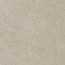 Ricchetti Ease/22 С000502762 0163437_GreigeNtRt60X60 porcelain tile 60x60 cm, Italy, other types of stone - photo 1 Ricchetti Ease/22 С000502762 0163437_GreigeNtRt60X60 porcelain tile 60x60 cm, Italy, other types of stone - photo 1