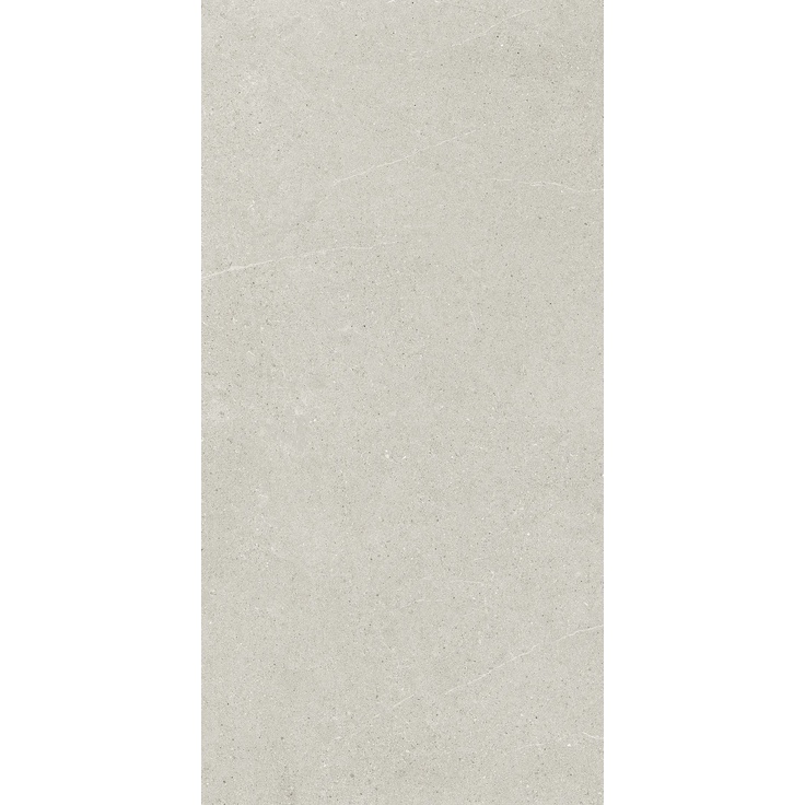 Ricchetti Ease/22 С000502757 0163429_LightGreyGrpRt60X120 porcelain tile 60x120 cm, Italy, other types of stone - photo 1 Ricchetti Ease/22 С000502757 0163429_LightGreyGrpRt60X120 porcelain tile 60x120 cm, Italy, other types of stone - photo 1