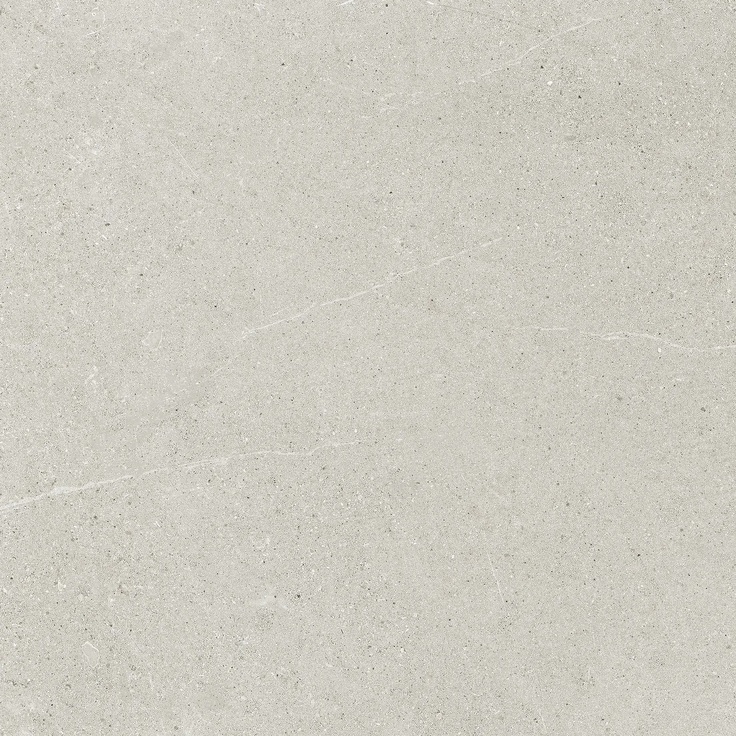 Ricchetti Ease/22 С000502764 0163443_LightGreyNtRt60X60 gres porcellanato 60x60 cm, Italia, altri tipi di pietra - foto 1 Ricchetti Ease/22 С000502764 0163443_LightGreyNtRt60X60 gres porcellanato 60x60 cm, Italia, altri tipi di pietra - foto 1