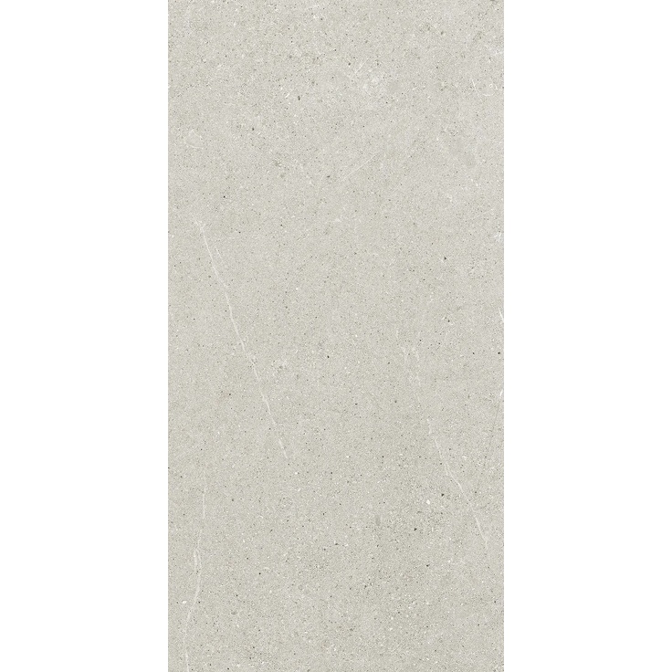 Ricchetti Ease/22 С000502765 0163444_LightGreyNtRt30X60 porcelain tile 30x60 cm, Italy, other types of stone - photo 1 Ricchetti Ease/22 С000502765 0163444_LightGreyNtRt30X60 porcelain tile 30x60 cm, Italy, other types of stone - photo 1