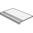 Roca Basel С000512705 FKTE057ZA1_PeldañoBaselCaliza30X60 Trin 30x60 cm, Spanien, andre stenarter - foto 1