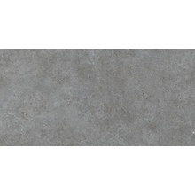 Roca Basel С000512715 FKT6A54101_BaselGrafito60X120r gres porcelanato 60x120 cm, Espanha, outros tipos de pedra - foto 1 - foto 1