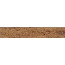 Roca Indiana С000541935 FB70C6ONT1_IndianaNatural20X120rAbsC3R gres porcelanato 20x120 cm, Espanha, árvore - foto 1 - foto 1