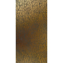 Roced Exotic С000590023 Cocodrile Gold grès cérame 60x120 cm, Espagne, or et métaux précieux - photo 1 - photo 1