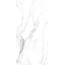 Rondine Canova С000473349 J88476_CanovaArabescatoRett60*120 porcelain tile 60x120 cm, Italy, other types of marble - photo 1