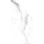 Rondine Canova С000473357 J88508_CanovaArabescatoRett30*60 porcelain tile 30x60 cm, Italy, other types of marble - photo 1