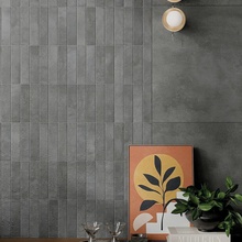 Rondine Cruda Brick 4,8x20 см, geglazuurd keramisch graniet, Italië, beton - interieurfoto 1 - foto 1