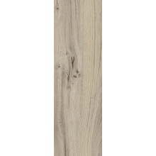 Rondine Daring С000456632 J88429_DaringGreige15*61 porcelænsflise 15x61 cm, Italien, trae-look - foto 1 - foto 1
