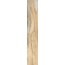 Rondine Infusion С000534872 J90220_InfusionBirch24*150 porcelænsflise 24x150 cm, Italien, træ - foto 1