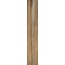 Rondine Infusion С000534874 J90222_InfusionOak24*150 grès cérame 24x150 cm, Italie, arbre - photo 1