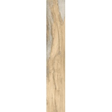 Rondine Infusion С000534872 J90220_InfusionBirch24*150 gres porcelánový 24x150 cm, Itálie, vzhled dreva - fotografie 1 - foto 1