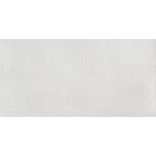Rondine Ludo С000534900 J90406_LudoBiancoRett60*120 vægflise 60x120 cm, Italien, monokrom - foto 1 - foto 1