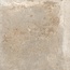 Rondine Windsor С000585807 J92104_WindsorBeige60,9*60,9 grès cérame 60,9x60,9 cm, Italie, autres types de pierre - photo 1