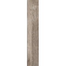 Saime Alpi С000553499 8600345_ALPI TORTORA RET 20X120 gres porcelanowy 20x120 cm, Włochy, drewnopodobne - zdjęcie 1 - zdjęcie 1